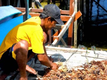Bontang Susun Peta Potensi Investasi Daerah Bersama Universitas Mulawarman