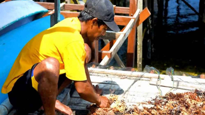 Bontang Susun Peta Potensi Investasi Daerah Bersama Universitas Mulawarman