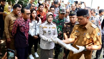 22 Ton Gurita Beku Asal Bantaeng Diekspor ke Meksiko Senilai Rp2,3 Miliar