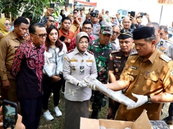 22 Ton Gurita Beku Asal Bantaeng Diekspor ke Meksiko Senilai Rp2,3 Miliar
