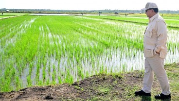 RI Masih Buka Keran Impor di Tengah Wacana Swasembada Pangan, Mengapa?