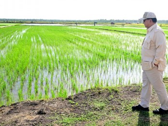 RI Masih Buka Keran Impor di Tengah Wacana Swasembada Pangan, Mengapa?