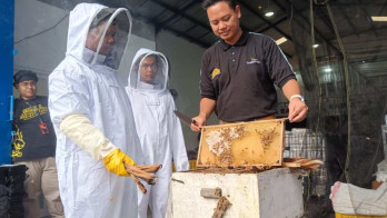 Sarang Maduku, Tinggalkan Karir Banker Demi Pilih Geluti Bisnis Madu Berbuah Manis