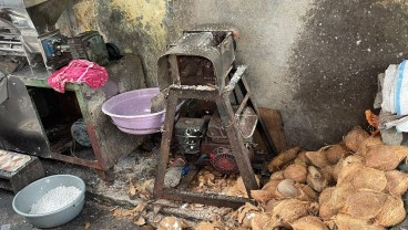 Produksi Kelapa Sumbar Melimpah, Harga Santan Rp20.000 per Kilogram
