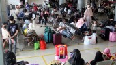 Penumpang Kapal di Wilayah Timur Tumbuh Pesat pada Kuartal I/2025