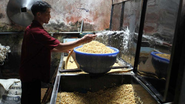 Harga Kedelai Impor Terus Merangkak Naik Menjadi Rp9.950 Per Kilogram