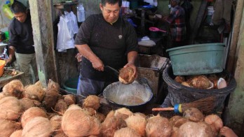 Sumbar Ekspor Komoditas Kelapa di 4 Negara hingga Triwulan I/2025