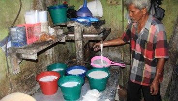 Langka, Pengepul Sumbar Mulai Sulit Dapat Kelapa di Tingkat Petani