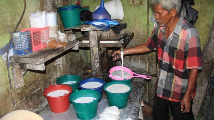 Langka, Pengepul Sumbar Mulai Sulit Dapat Kelapa di Tingkat Petani