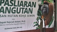 Menhut dan Yayasan BOS Lepasliarkan Enam Orangutan di Hutan Kehje Sewen Kaltim