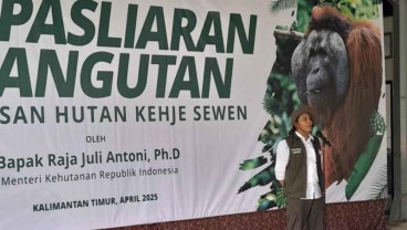 Menhut dan Yayasan BOS Lepasliarkan Enam Orangutan di Hutan Kehje Sewen Kaltim