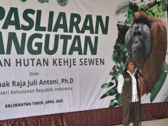 Menhut dan Yayasan BOS Lepasliarkan Enam Orangutan di Hutan Kehje Sewen Kaltim
