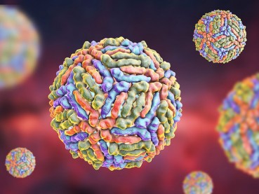 5 Virus Paling Mematikan di Dunia, dari Rabies hingga Ebola