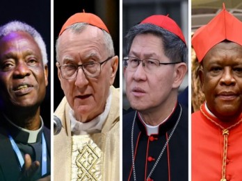 Profil 4 Kardinal Calon Kuat Pengganti Paus Fransiskus, Asia-Afrika Berpeluang