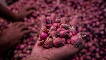 Harga Bawang Merah Lokal di Semarang Alami Penurunan