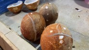 Pedagang Pasar Berharap Harga Kelapa Bulat Turun Kembali Seperti Semula