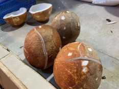 Pedagang Pasar Berharap Harga Kelapa Bulat Turun Kembali Seperti Semula