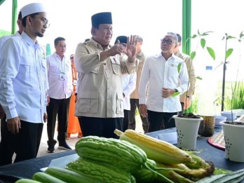Mengenal Program Indonesia Menanam Besutan Ustaz Adi Hidayat yang Diresmikan Prabowo