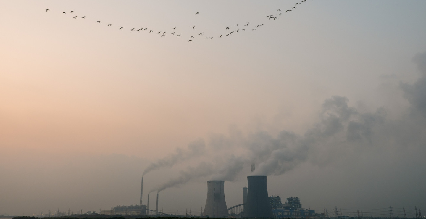 Indonesia’s Coal Phase-Out Requires Major Capital Investment