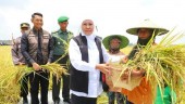 Jawa Timur Jadi Kontributor Terbesar Tanam Padi Nasional