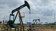 Indonesia Attracts Global Oil & Gas Giants with Untapped Potential
