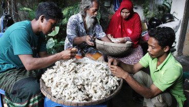 Budi Daya Ulat Sutra Dengan Metode Berkelanjutan