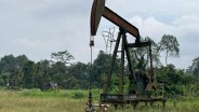 ESDM Siapkan Aturan untuk Berdayakan Sumur Minyak Ilegal