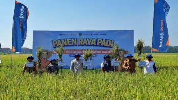 Pupuk Kaltim Dukung Swasembada Pangan Lewat Agrosolution di Bangil