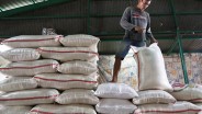 USDA Proyeksi Impor Beras RI Turun, Ini Jawaban Mentan