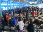 Surga Produk Laut, Gubernur Maluku Soroti Minimnya Dana Bagi Hasil