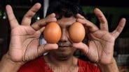 Terungkap! Ilmuwan Sebut Ayam Lebih Dulu Ada daripada Telur