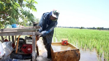 Mentan Amran Sebut Stok Beras Sentuh Rekor Tertinggi dalam 23 Tahun