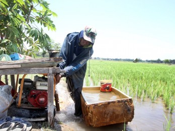 Mentan Amran Sebut Stok Beras Sentuh Rekor Tertinggi dalam 23 Tahun