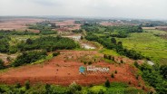 Tumpuan Surya Semesta (SSIA) Kejar Target Pertumbuhan Laba Double Digit 2025