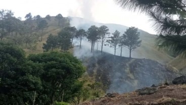Pemprov Kaltim Siaga Karhutla 2025, Titik Api Muncul di Kutai Timur dan Paser