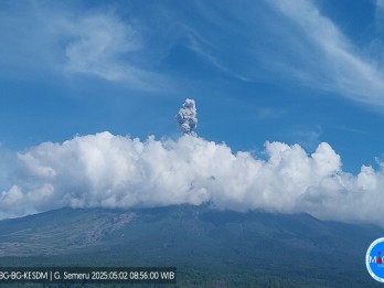 Gunung Semeru dan Gunung Ibu Kompak Erupsi Hari Ini, 2 Mei 2025