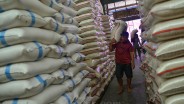 Harga Beras di Tingkat Grosir dan Eceran Kompak Turun April 2025