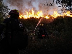 Kebakaran Hutan Hebat Terjadi di Israel, Masyarakat Dievakuasi