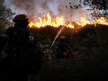 Kebakaran Hutan Hebat Terjadi di Israel, Masyarakat Dievakuasi