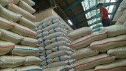 BPS: Produksi Beras Diprediksi Capai 18,76 Juta Ton hingga Juni 2025