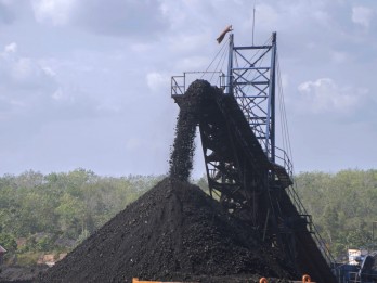 Harga Batu Bara Acuan (HBA) Awal Mei 2025 Kompak Naik