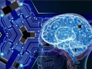 Kenali Neurotransmiter Pada Otak Manusia