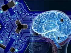 Kenali Neurotransmiter Pada Otak Manusia