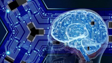 Kenali Neurotransmiter Pada Otak Manusia