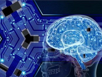 Kenali Neurotransmiter Pada Otak Manusia