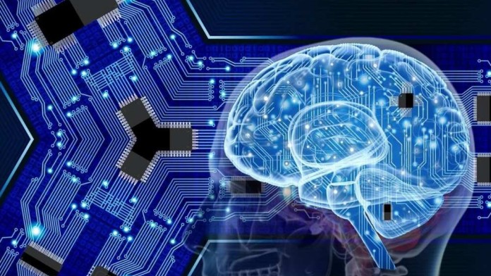 Kenali Neurotransmiter Pada Otak Manusia