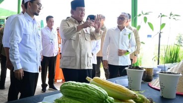 Prabowo Mau Beri Tunjangan ke Dosen dan Guru-Guru yang Belum D4 hingga S1