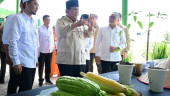 Prabowo Mau Beri Tunjangan ke Dosen dan Guru-Guru yang Belum D4 hingga S1