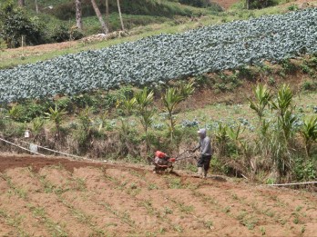 Nilai Tukar Petani Sulsel pada April 2025 Turun 1,96%, Ini Penyebabnya!