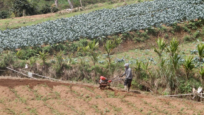 Nilai Tukar Petani Sulsel pada April 2025 Turun 1,96%, Ini Penyebabnya!